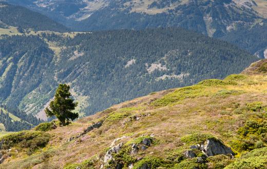 Votacions projecte Xarxa Natura 2000