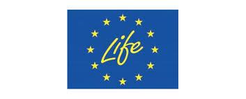 Sessió al curs "Polítiques, programes i línies de subvenció de la Unió Europea"